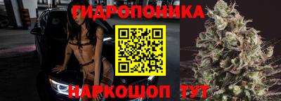 стафф Мариинск