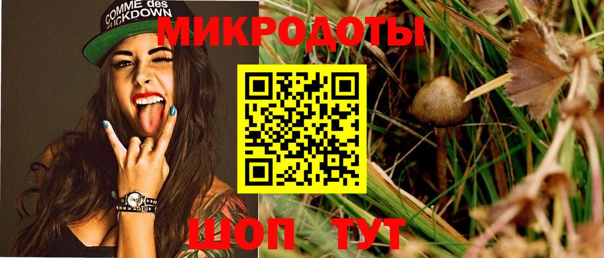 Псилоцибиновые грибы MAGIC MUSHROOMS Гудермес